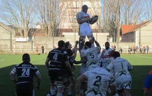 Section / Brive