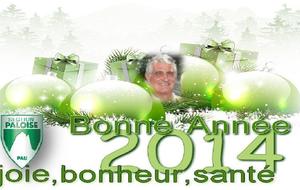 Bonne année 2014