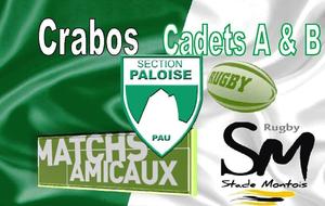 Test matches remportés