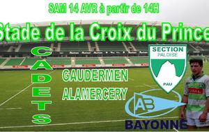 Section / Aviron Championnat cadets