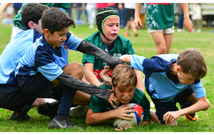 Crunch à la sauce béarnaise