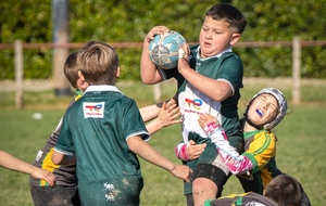 Tournoi M8 et M10 à Orthez