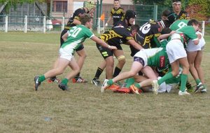 Albi / Section