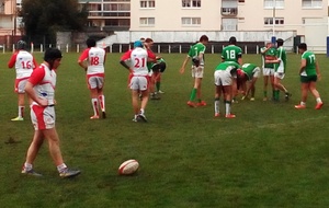 Section / Biarritz 