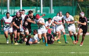 Stade Français / Section Paloise