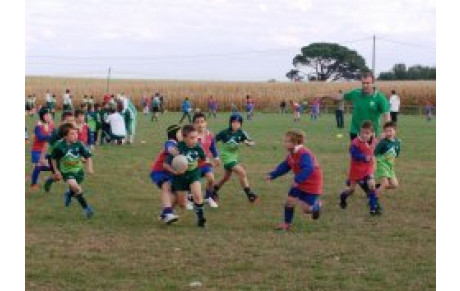 Résultats de l'Ecole de rugby