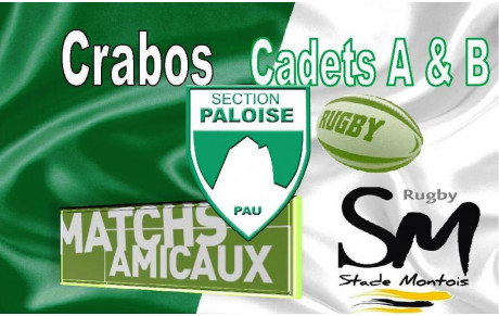 Test matches remportés