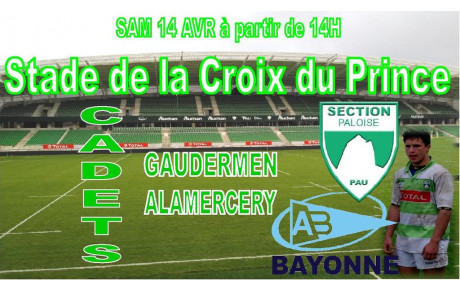 Section / Aviron Championnat cadets