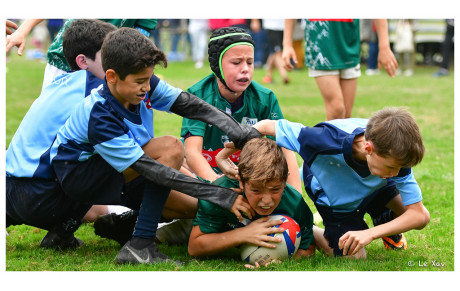 Crunch à la sauce béarnaise