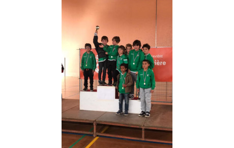 Tournoi de Aire/Adour  Mini poussins / Poussins