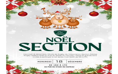 Arbre de Noël de l'Ecole de Rugby